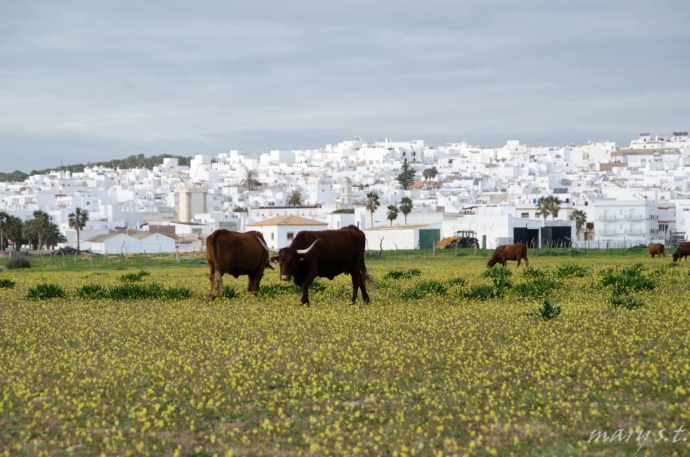 Pensión Ferreira Boutique 3*